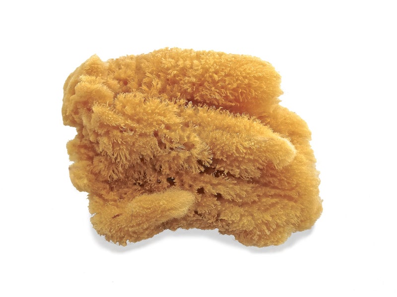 LullingworthÂ® Natural Sea Sponges for Artists - Unbleached 5"-5.5" 2pc Value Pack - Perfect Size for Painting Decorating Texturing Drywall Sponging Marbling Effects Faux Finishes Arts Crafts & More - Image 4